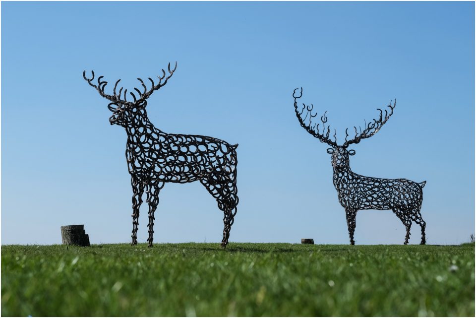 Two metal deer sculptures in a grassy field, captured beautifully in a wedding photograph.