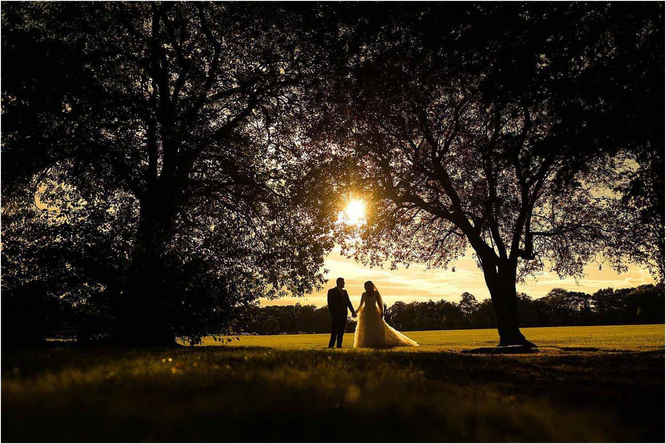 couple at sunset under trees