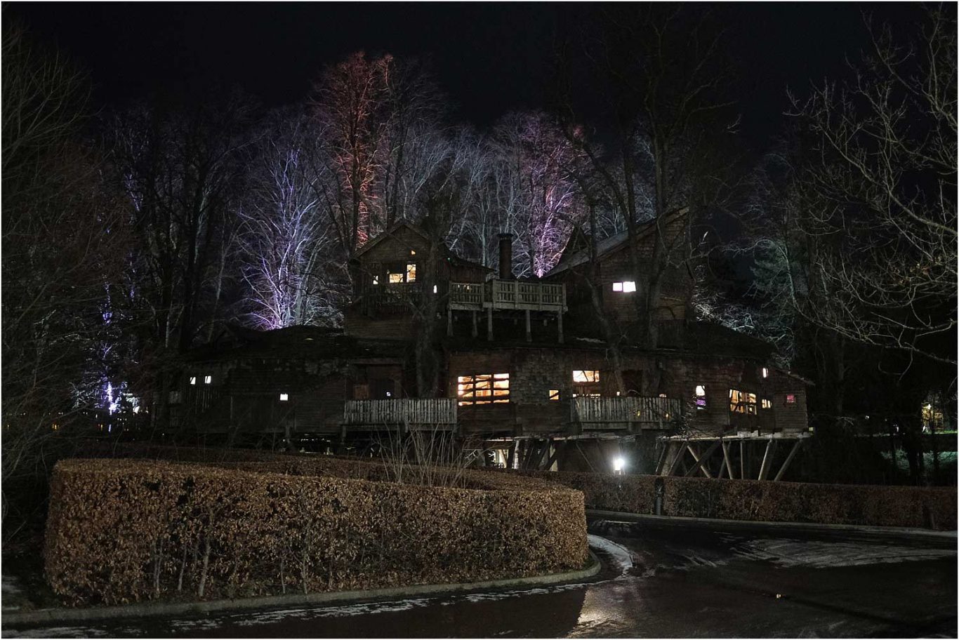 Alnwick Treehouse at Night